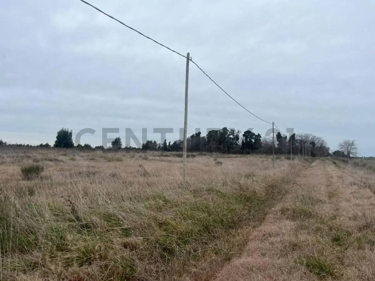 LOTE EN VENTA EN LEZAMA 4