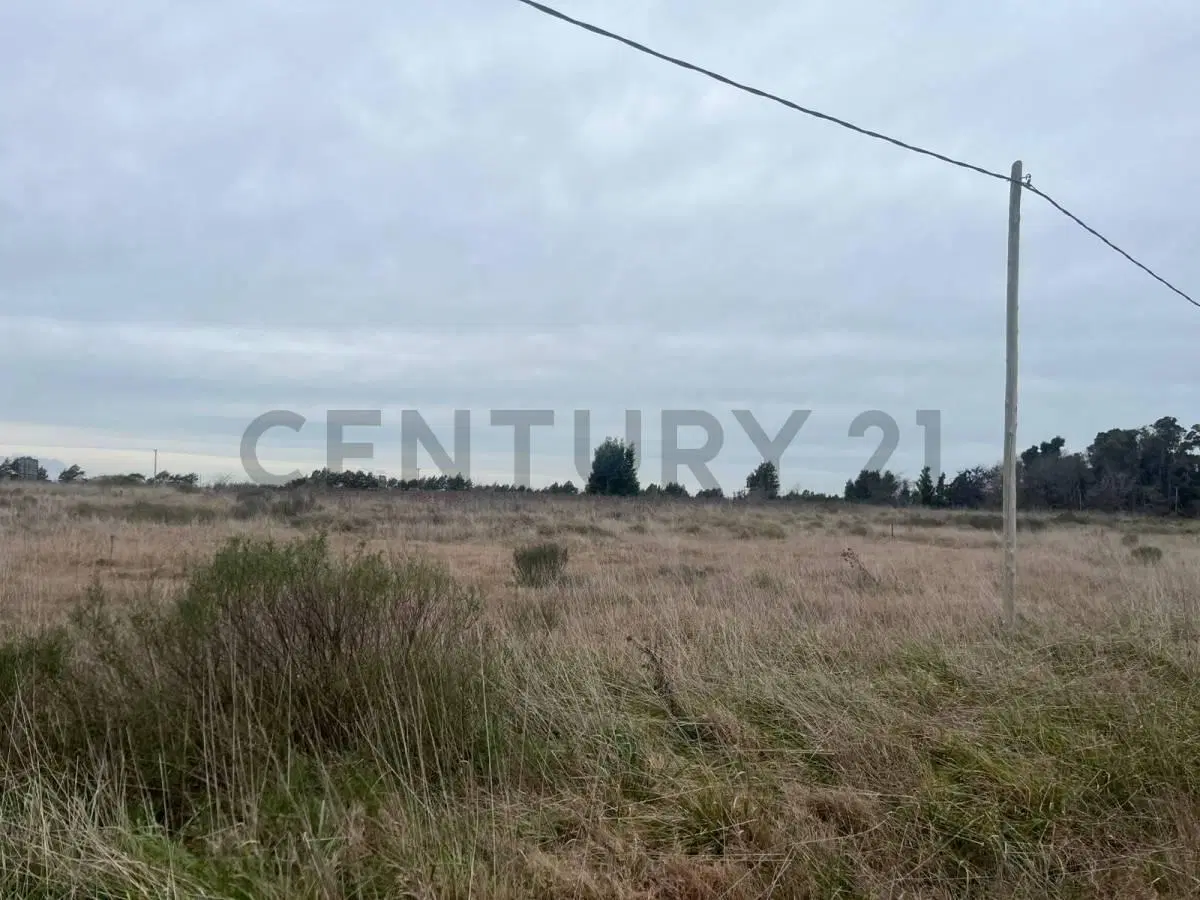 LOTE EN VENTA EN LEZAMA 8