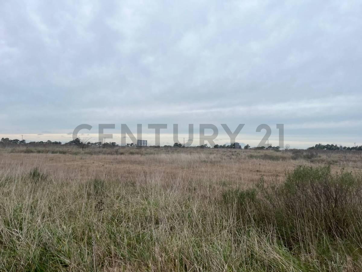 Foto de LOTE EN VENTA EN LEZAMA, imagen 4