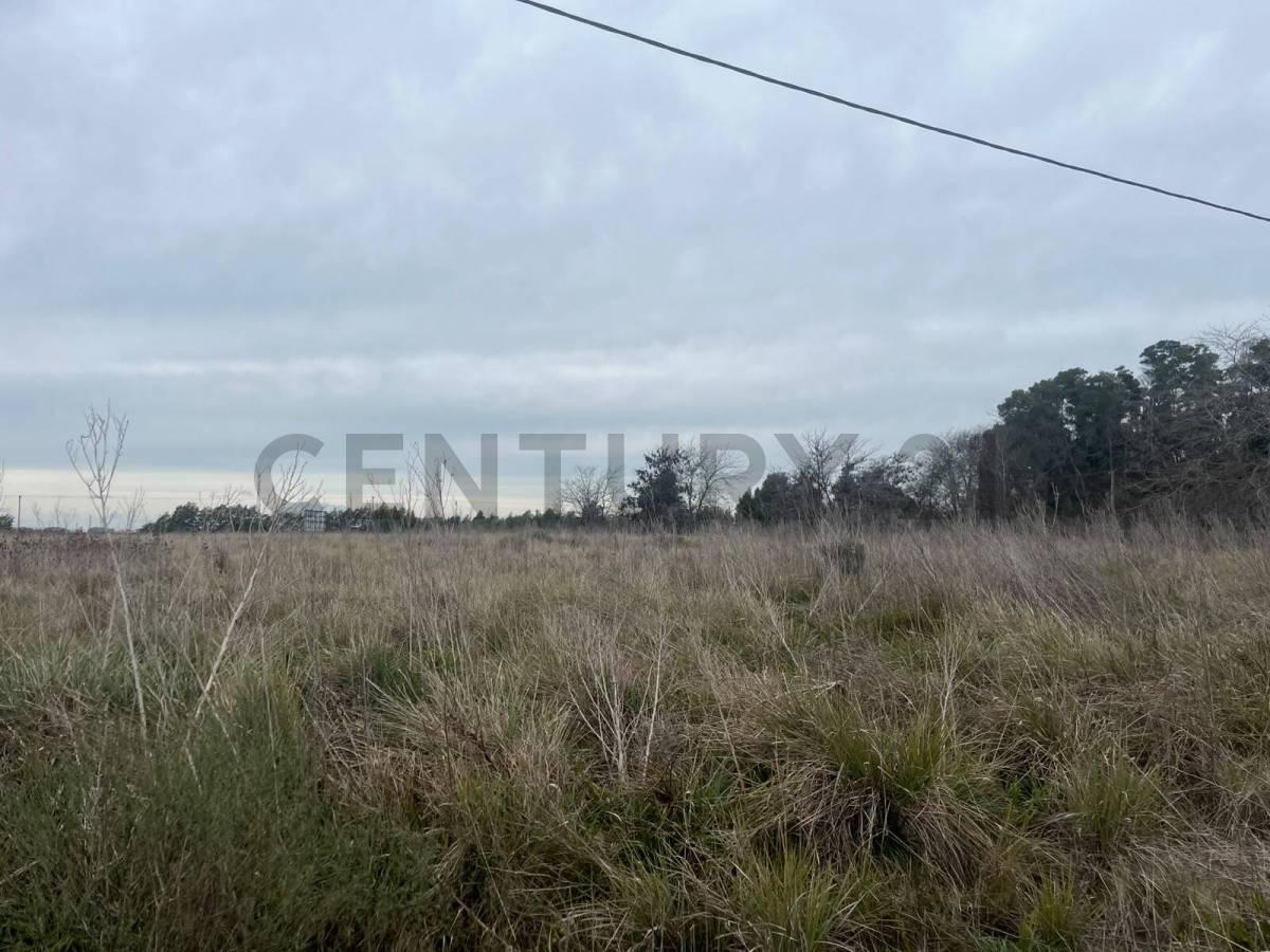 Foto de LOTE EN VENTA EN LEZAMA, imagen 1