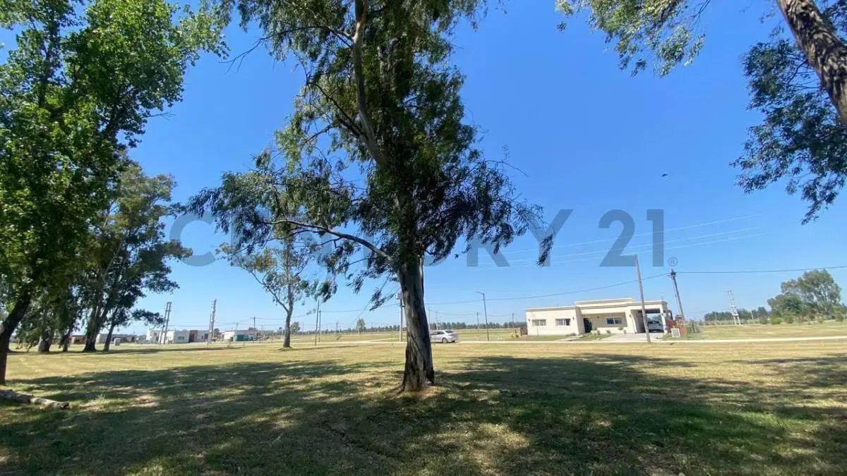 Lote en venta de 618 metros cuadrados Finca Joven, San Vicente 2