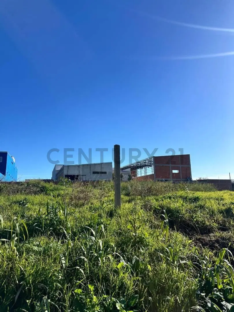LOTE EN VENTA EN LA PLATA, VILLA ELVIRA 2