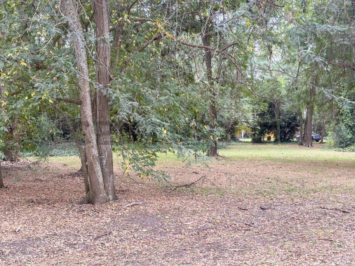 Foto de LOTE EN VENTA EN CAMPOS DE ROCA I, imagen 4
