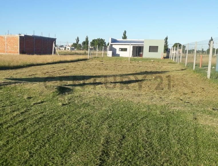 Foto de 133 entre 87 y 88, Lote en venta, La Plata, imagen 4
