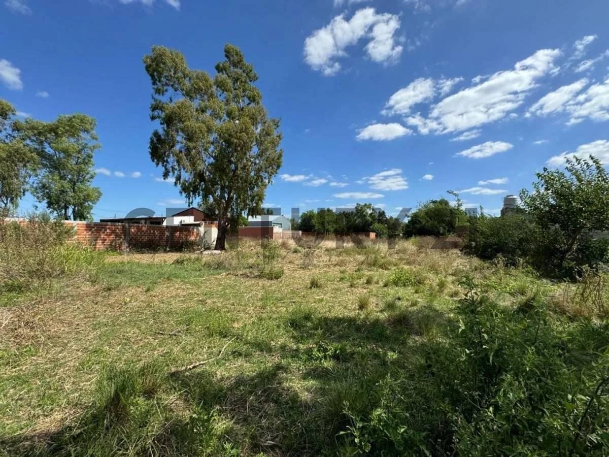 Foto de Lote - Terreno en venta Lisandro Olmos La Plata, imagen 2