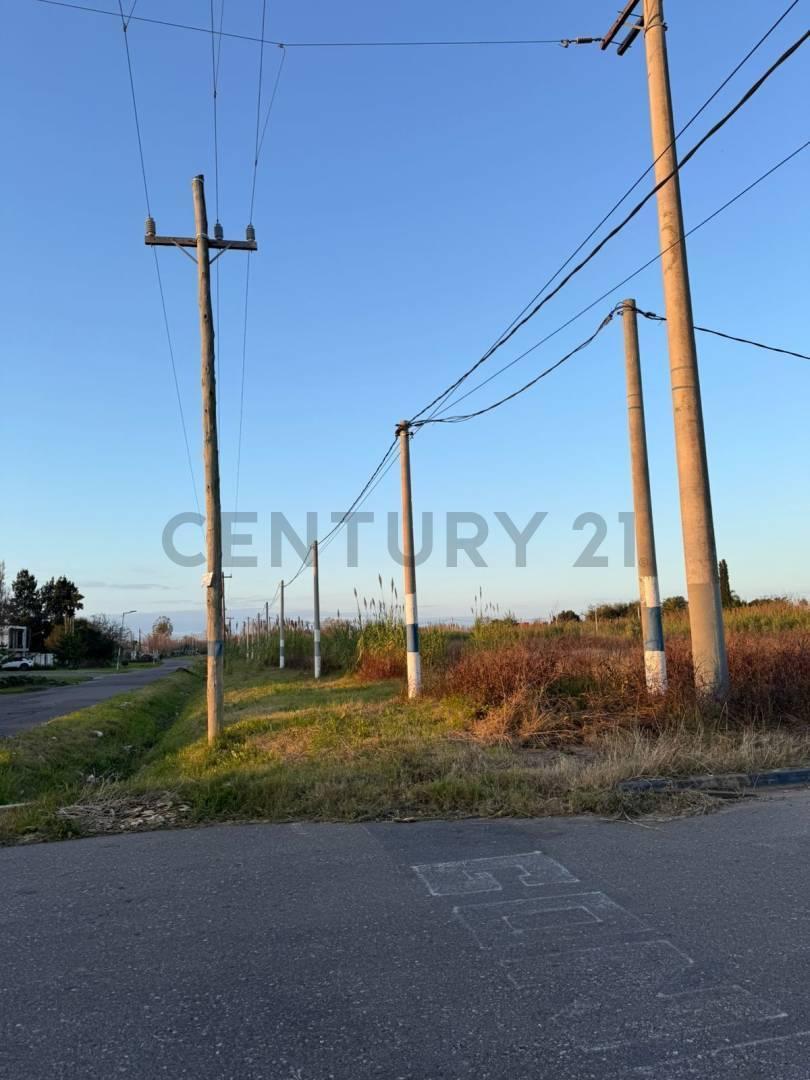 Foto de 12 ESQUINA 508, imagen 1