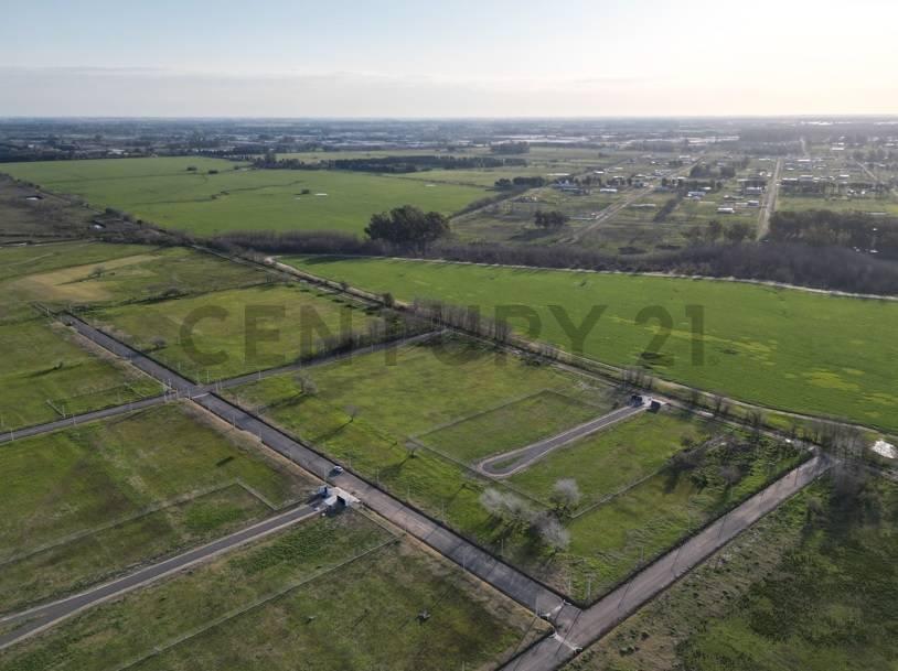 Foto de 501 y 161, Lote en Senderos Gorina La Plata, imagen 4