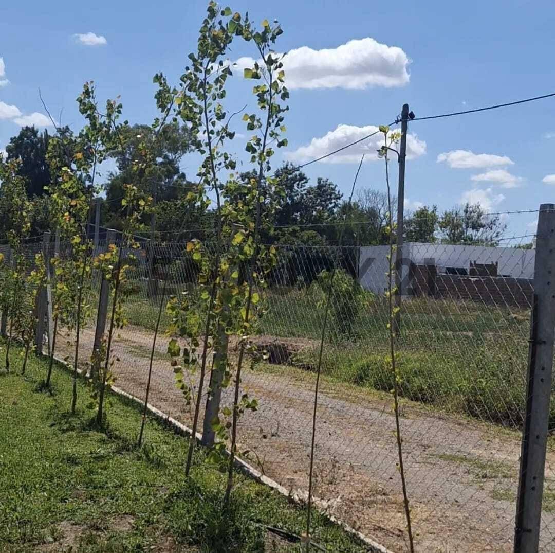 Foto de TERRENO EN VENTA | CALLE 72 Y 158 | FINCA LOS CEREZOS | LA PLATA | LOS, imagen 4