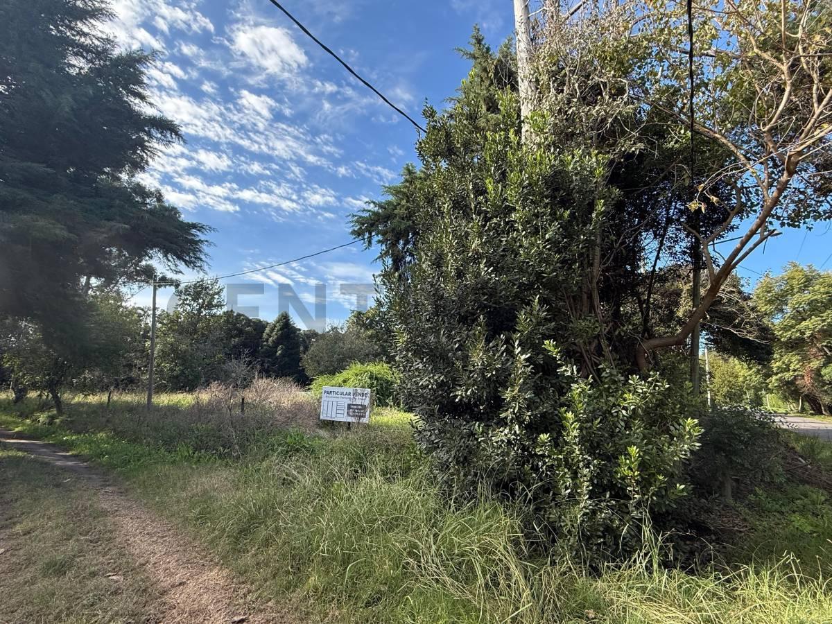 Foto de 11 BIS Y 602 -Lote en venta La Plata, imagen 2