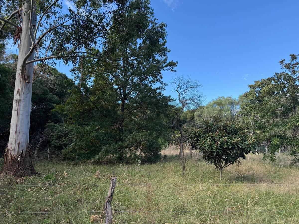 Foto de 602 y 11 bis Lote en venta, La Plata, imagen 1