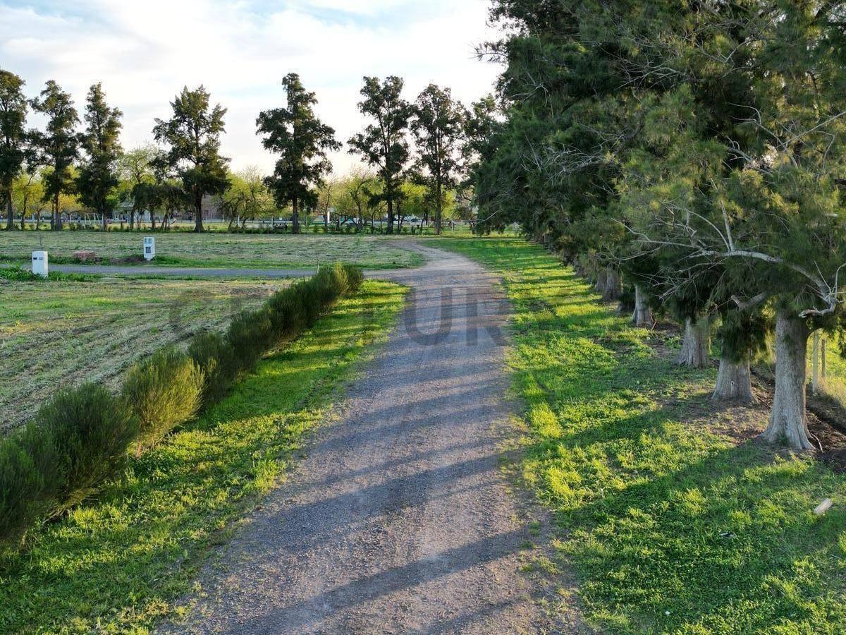 Foto de 637 Y 31 LOTES EN VENTA, LOS PINARES, ARANA, imagen 2