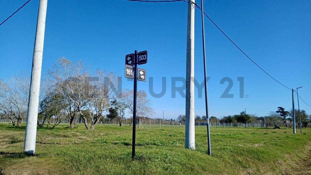 Foto de LOTES EN BARRIO ABIERTO SENDEROS, GORINA, imagen 5