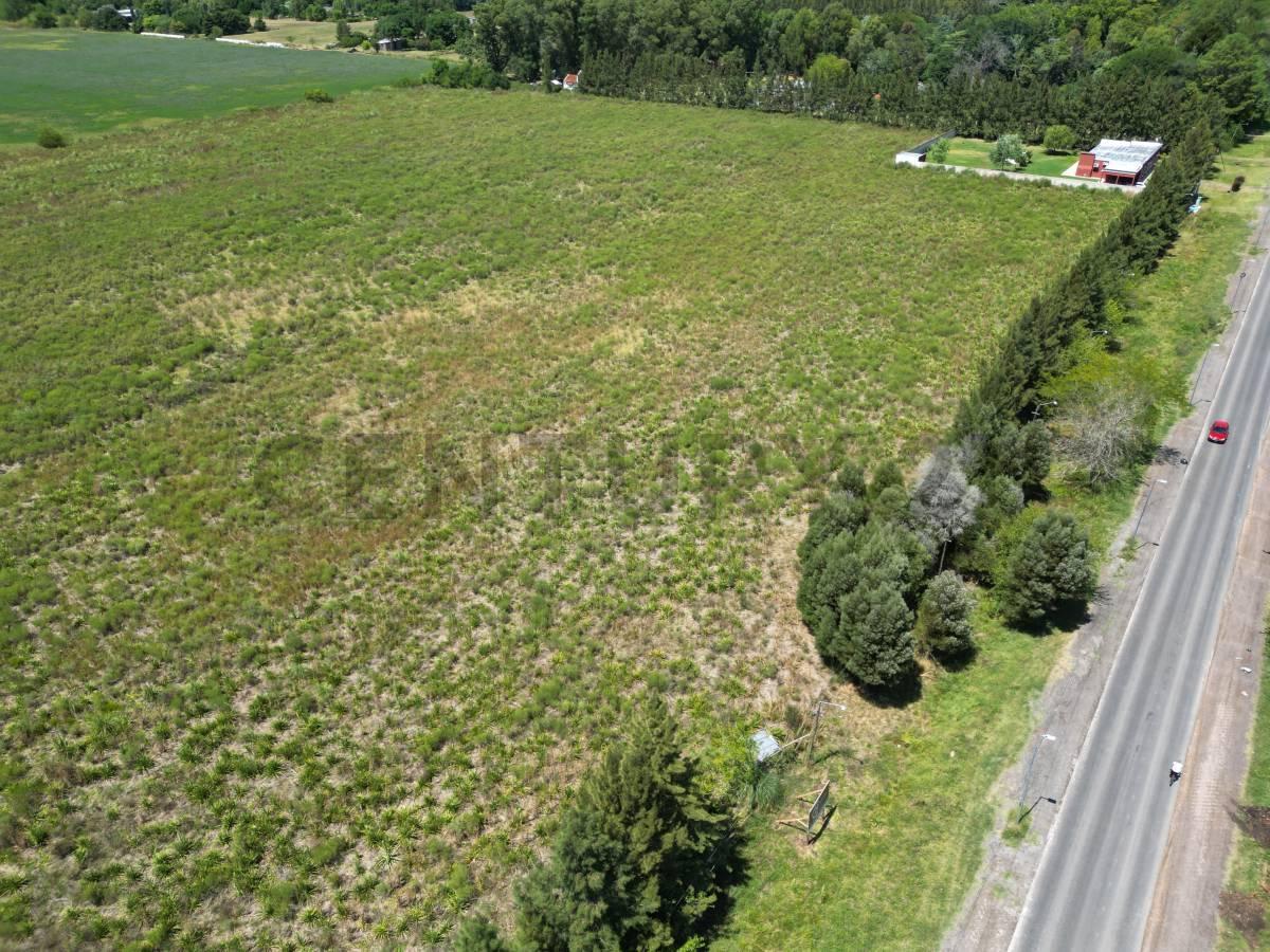 Foto de 637 e/ 13 y 16 Arana, 4 hectáreas con 169 mts sobre Avenida, imagen 2