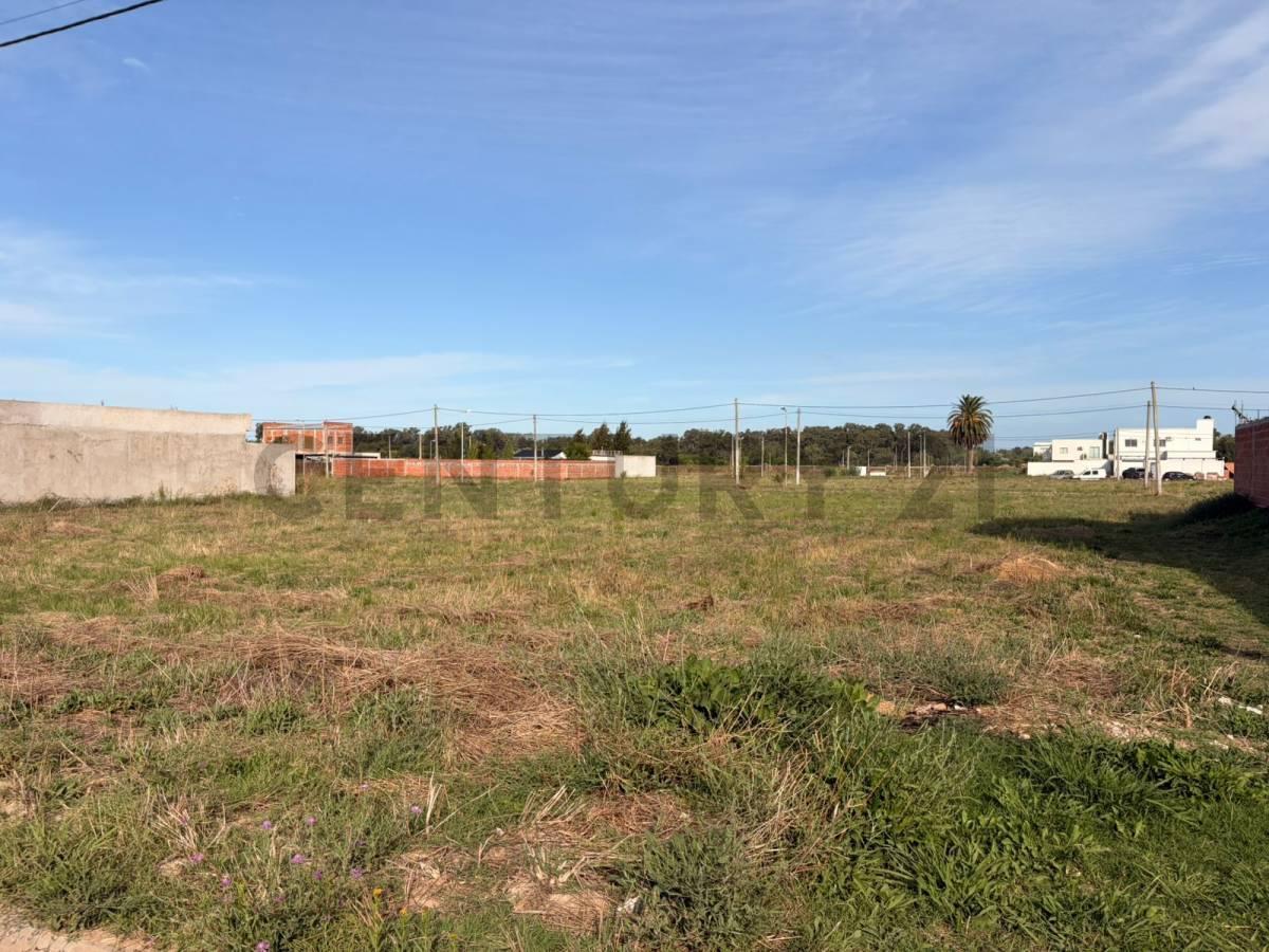 Foto de Lotes en venta – Barrio La Cortadera - Avenida 7 entre 628 y 630, imagen 4