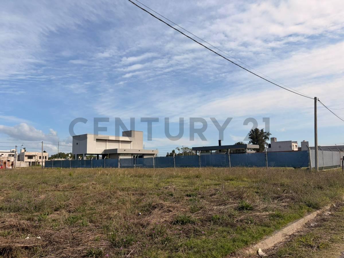Foto de Lotes en venta – Barrio La Cortadera - Avenida 7 entre 628 y 630, imagen 1