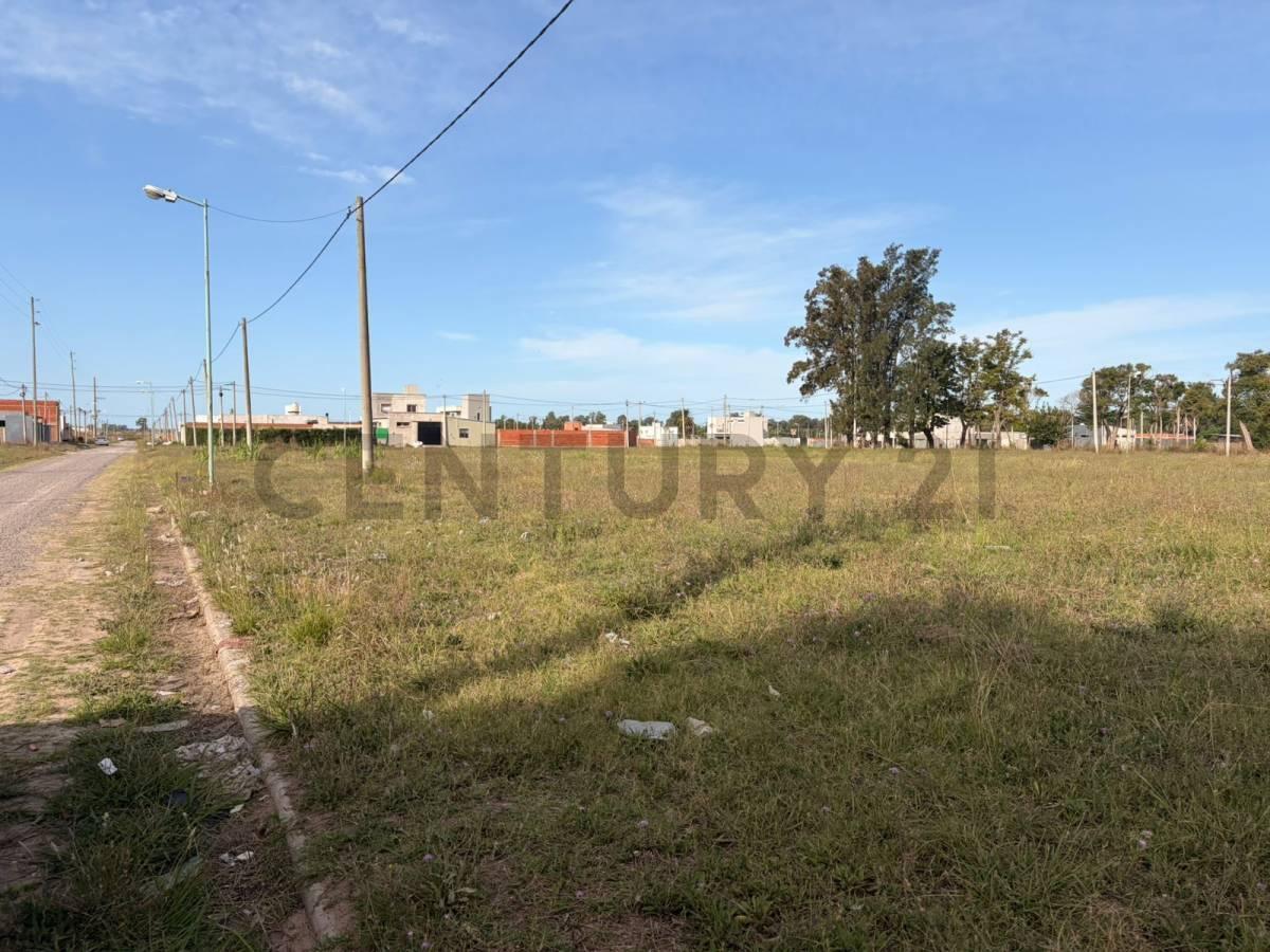 Foto de Lotes en venta – Barrio La Cortadera - Avenida 7 entre 628 y 630, imagen 5