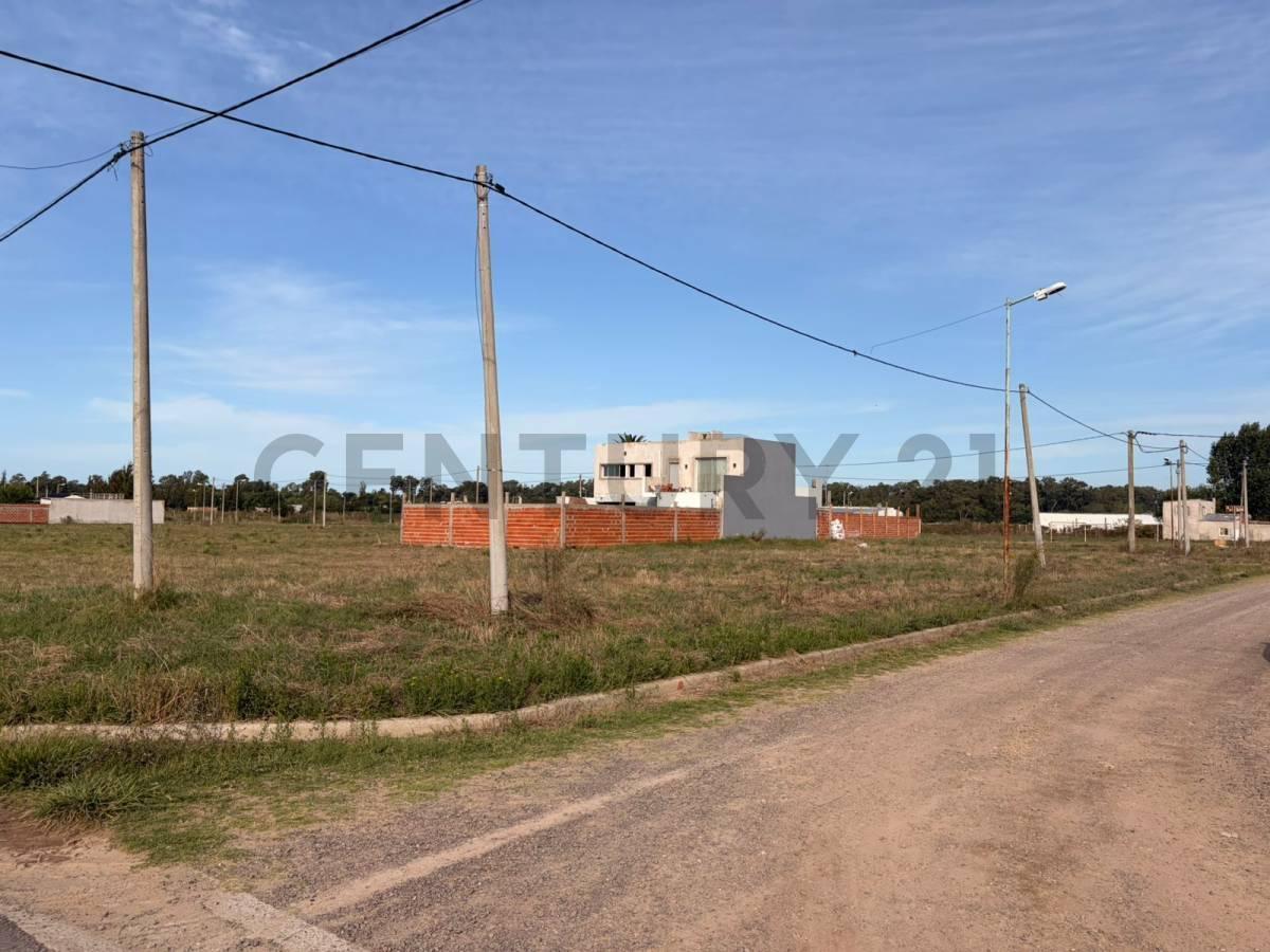 Foto de Lotes en venta – Barrio La Cortadera - Avenida 7 entre 628 y 630, imagen 2
