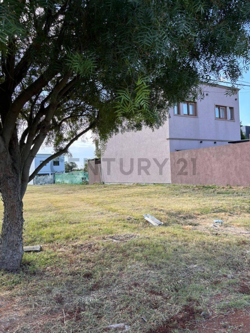 Foto de 489 ENTRE 133 Y 134 Venta de Lote BARRIO ALTOS DE LACROZE GORINA, imagen 3