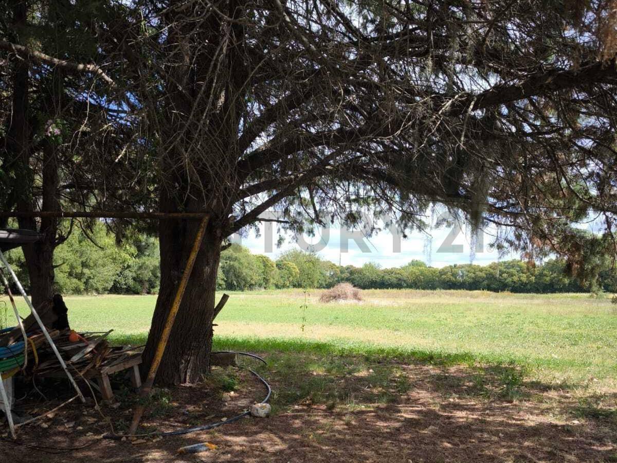 Foto de CALLE 516 E/ 166 Y 167 | IMPORTANTE LOTE CON 2 VIVIENDAS EN MELCHOR, imagen 3