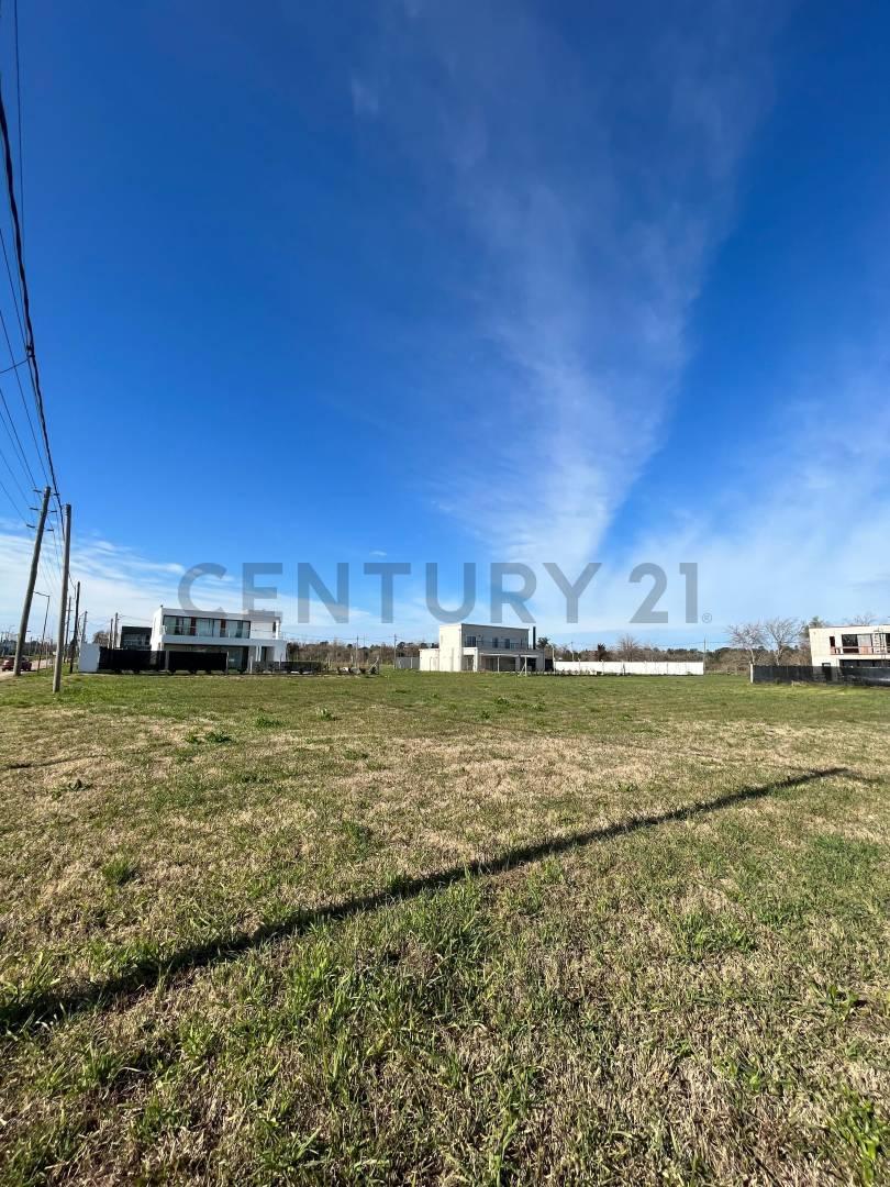 Foto de TERRENOS EN VENTA DON GUIDO GORINA 139 y 507, imagen 5