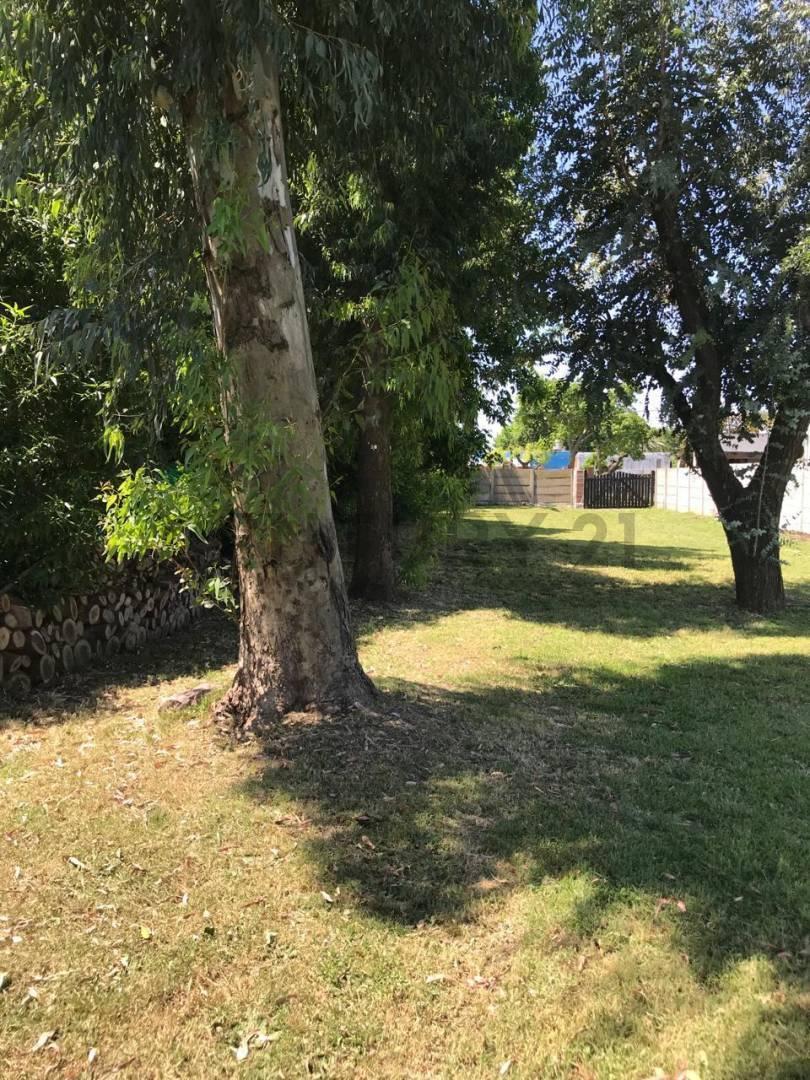 Foto de 138 entre 35 y 36 LOTE DE TERRENO 780 METROS EN VENTA LA PLATA, imagen 2