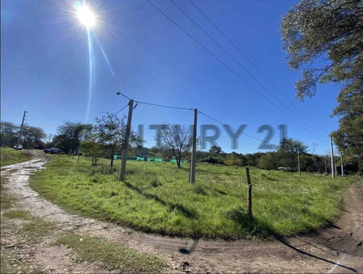 Foto de 471 y 141 FRACCION DE TERRENO 5.200 M2 EN VENTA CITY BELL FINANCIACION, imagen 3