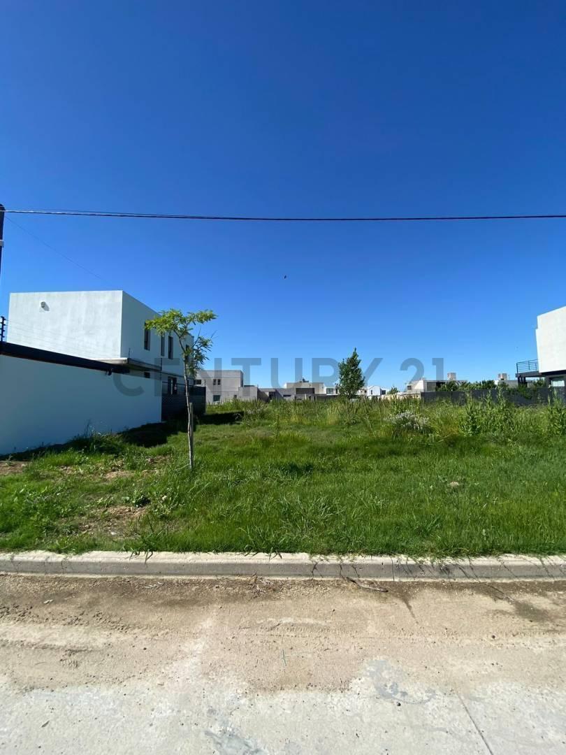 Foto de Lote en Venta en EL QUIMILAR | CALLE 13 ESQ 456 | LA PLATA, imagen 2