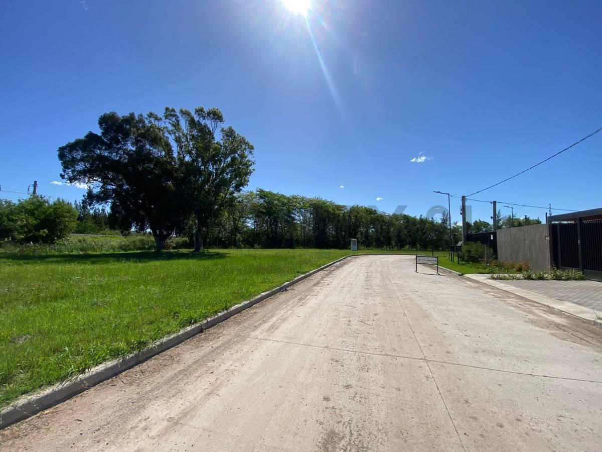 Foto de Lote en Venta en EL QUIMILAR | CALLE 13 ESQ 456 | LA PLATA, imagen 3