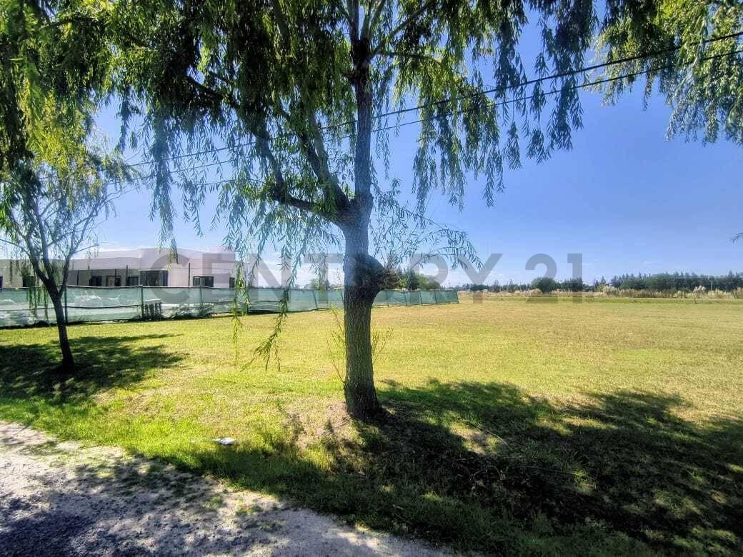 Foto de Brandsen ruta 2 Campo de roca ll - Lote N° en venta, imagen 1