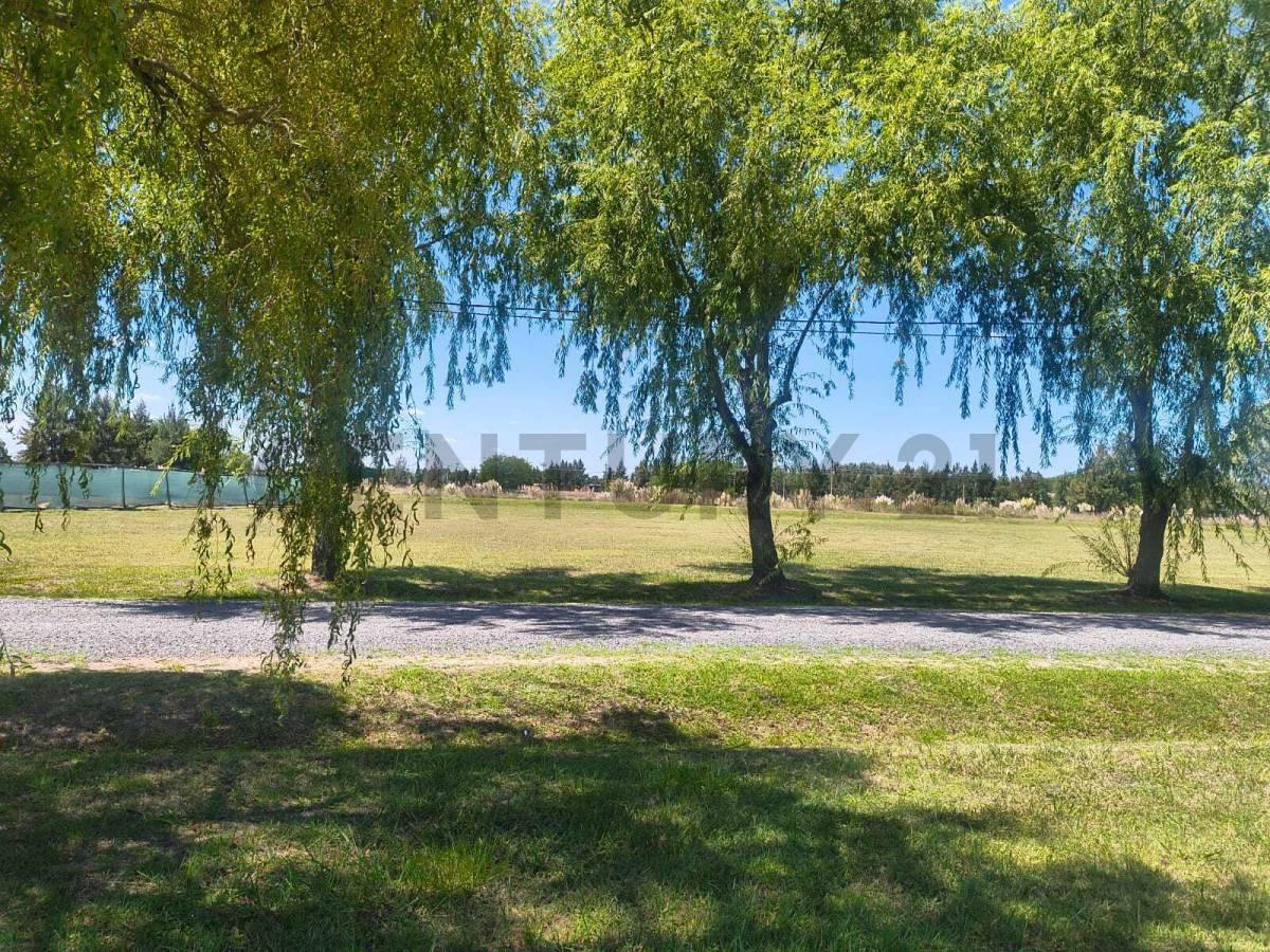Foto de Brandsen ruta 2 Campo de roca ll - Lote N° en venta, imagen 3