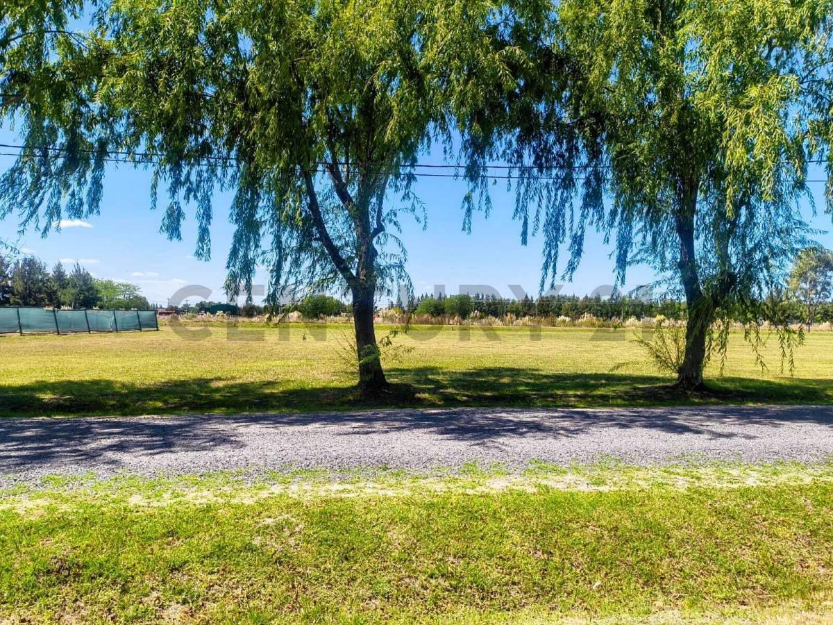 Foto de Brandsen ruta 2 Campo de roca ll - Lote N° en venta, imagen 4