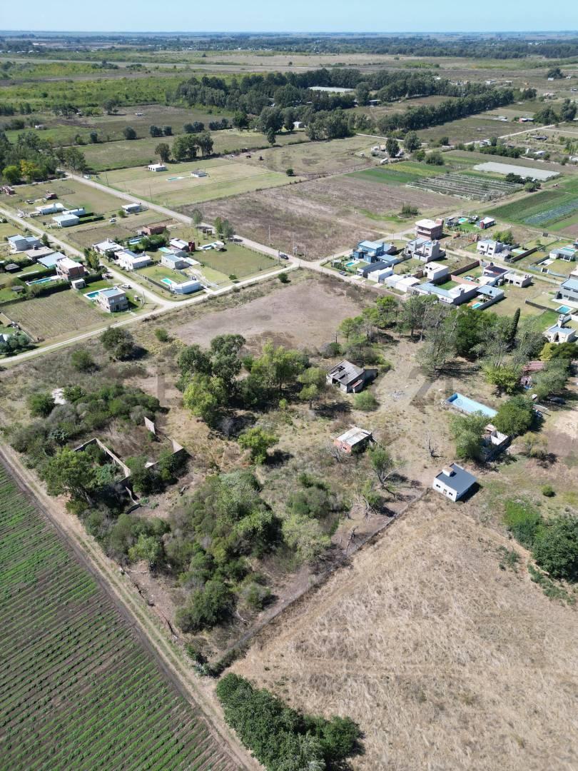 Foto de Venta 2 hectareas en 610 e/ 28 y 29, imagen 5