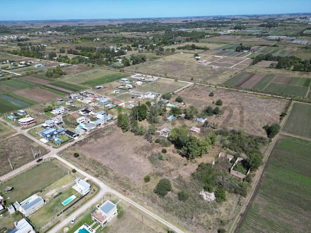 Foto de Venta 2 hectareas en 610 e/ 28 y 29, imagen 3