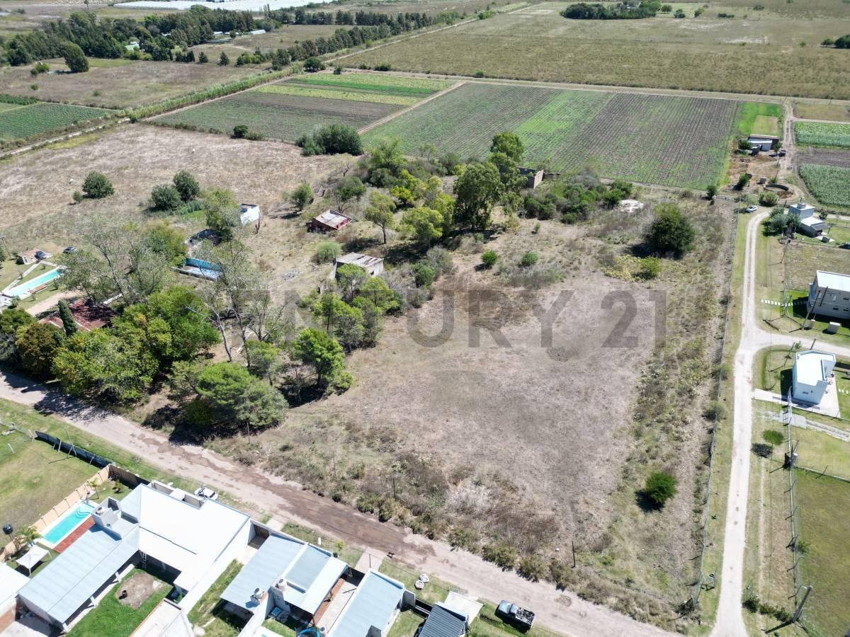 Foto de Venta 2 hectareas en 610 e/ 28 y 29, imagen 1