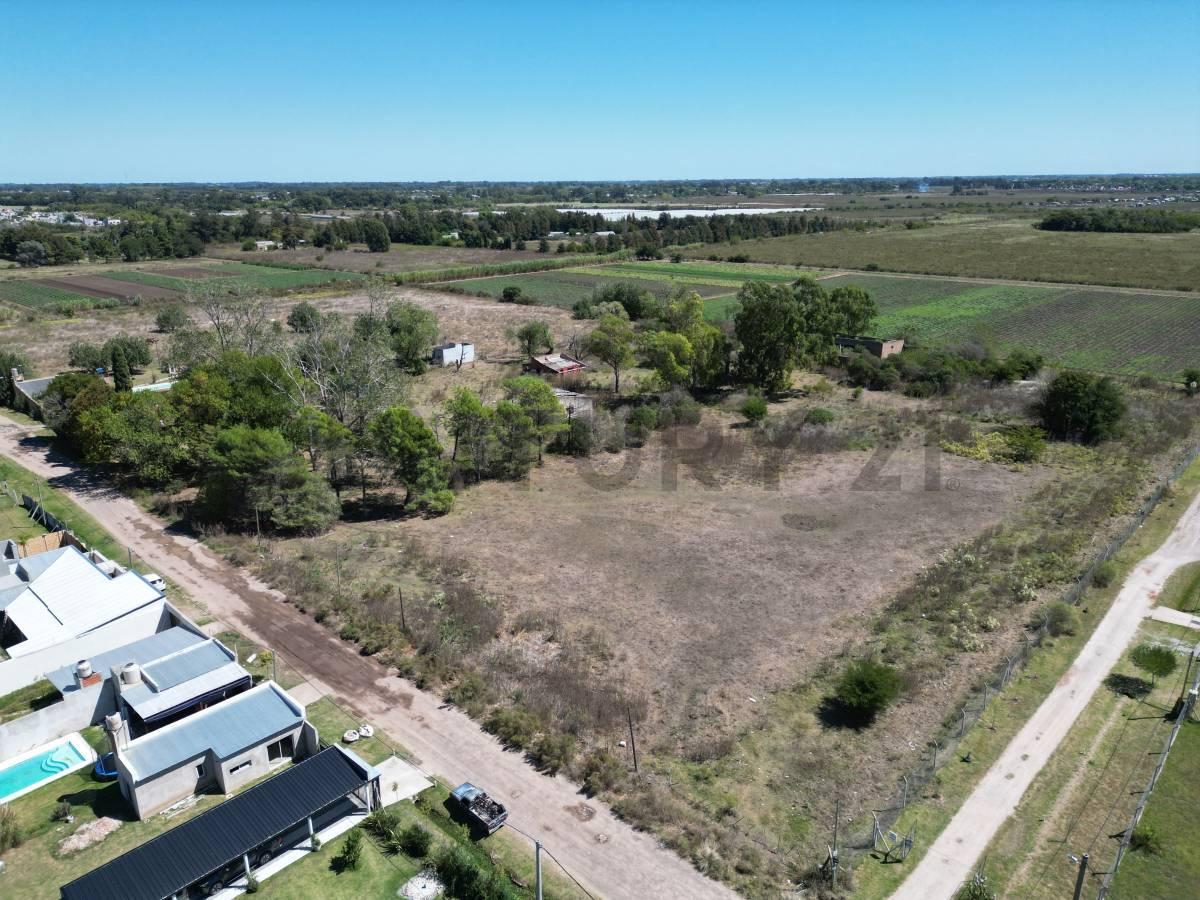 Foto de Venta 2 hectareas en 610 e/ 28 y 29, imagen 4