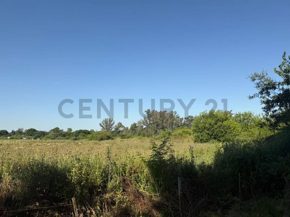 Foto de LOTE EN EXCELENTE UBICACION ARTURO SEGUI | CALLE 137 E/ 419 Y 422, imagen 3