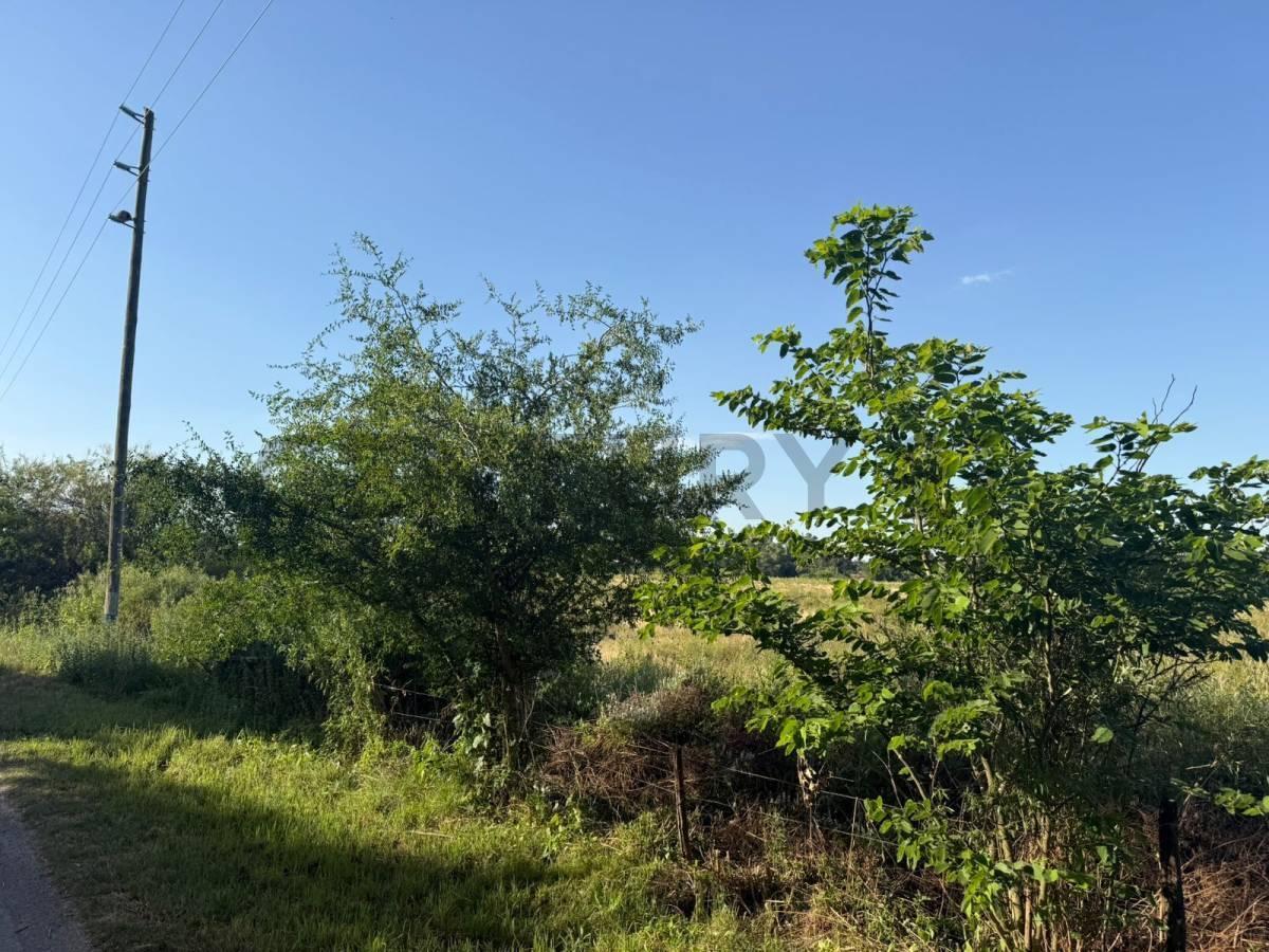 Foto de LOTE EN EXCELENTE UBICACION ARTURO SEGUI | CALLE 137 E/ 419 Y 422, imagen 1