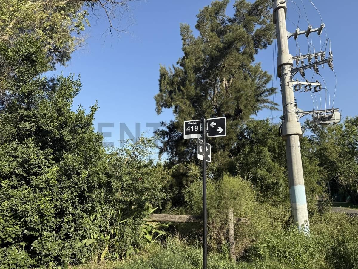 Foto de LOTE EN ARTURO SEGUI CALLE 137 E/ 419 Y 420 EN VENTA, imagen 4