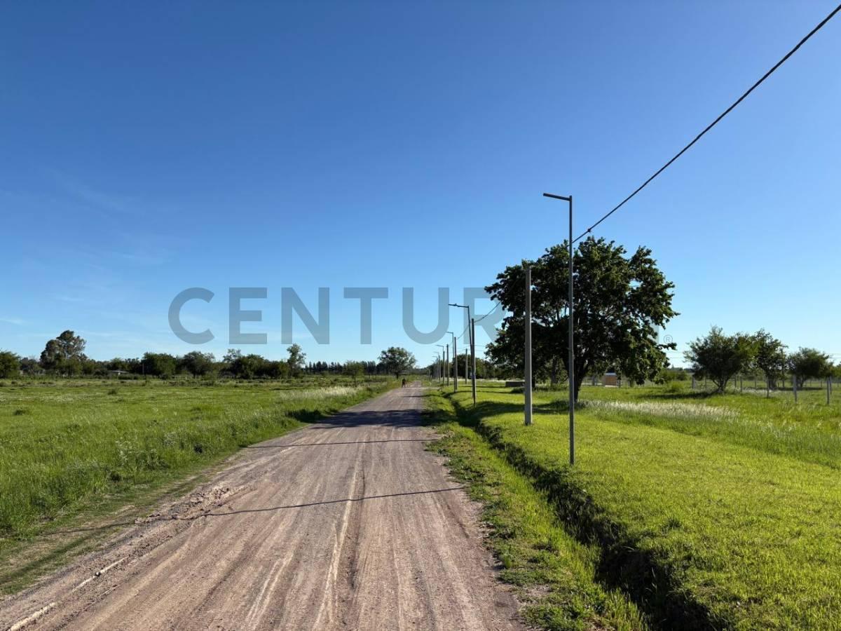 Foto de 161 y 501 LOTE EN VENTA BARRIO SENDEROS 300MTS, imagen 3