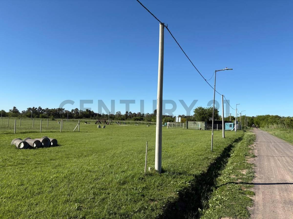 Foto de 161 y 501 LOTE EN VENTA BARRIO SENDEROS 300MTS, imagen 4
