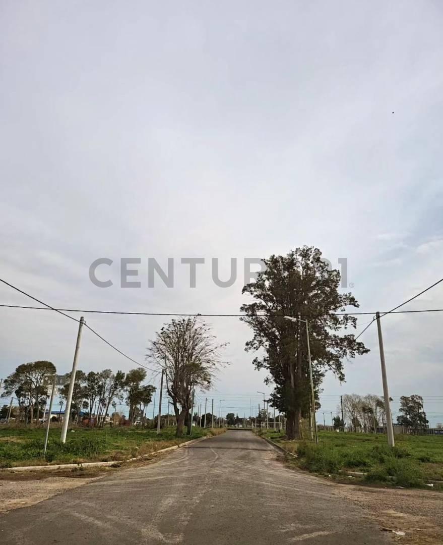 Foto de Av 7 y 625 | Lotes en Sicardi – Una inversión inteligente cerca de la, imagen 2