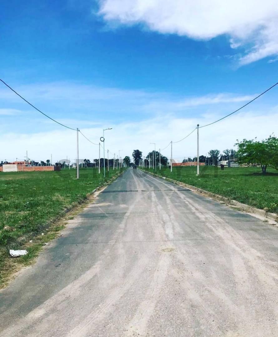 Foto de Av 7 y 628 | las cortaderas, imagen 3