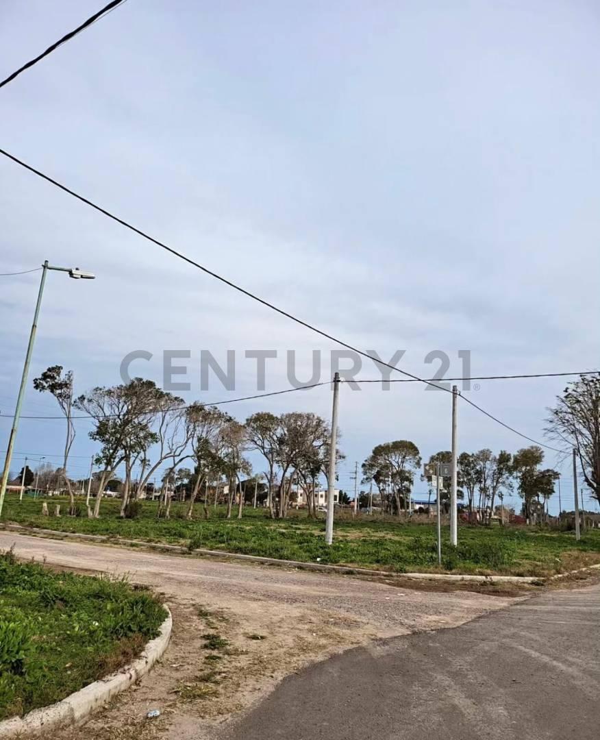 Foto de Av 7 y 628 | las cortaderas, imagen 1