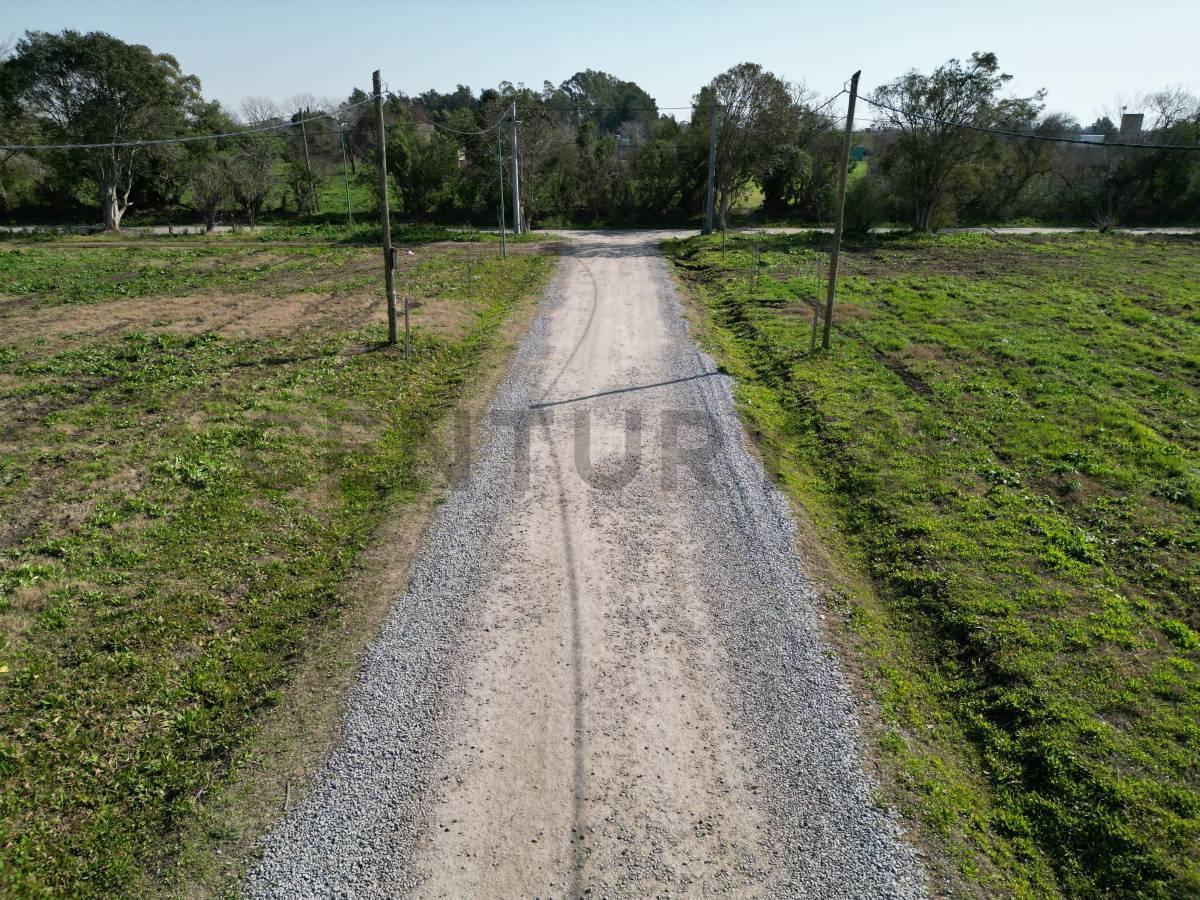Foto de VENTA LOTE EN ESQ 18BIS Y 651, SICARDI, imagen 3