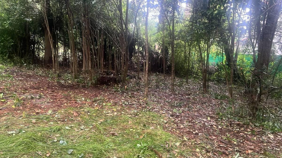 Foto de 407 y 24 | VILLA ELISA - LA PLATA - Vendemos Terreno en importante, imagen 1