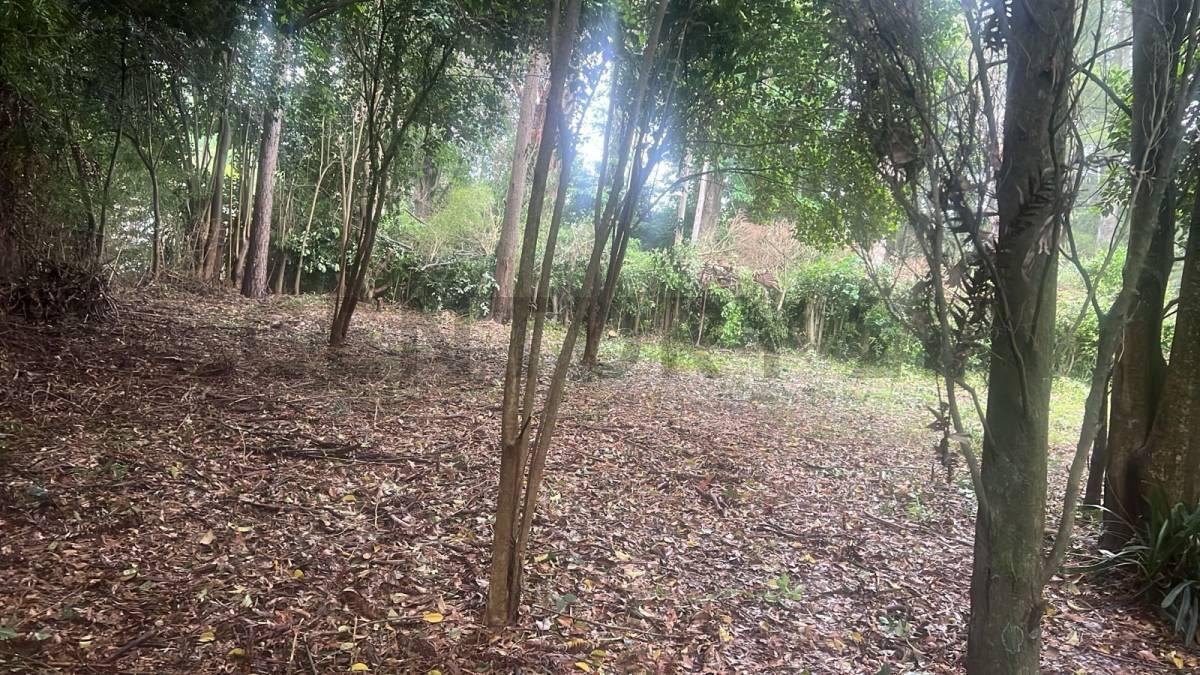 Foto de 407 y 24 | VILLA ELISA - LA PLATA - Vendemos Terreno en importante, imagen 4