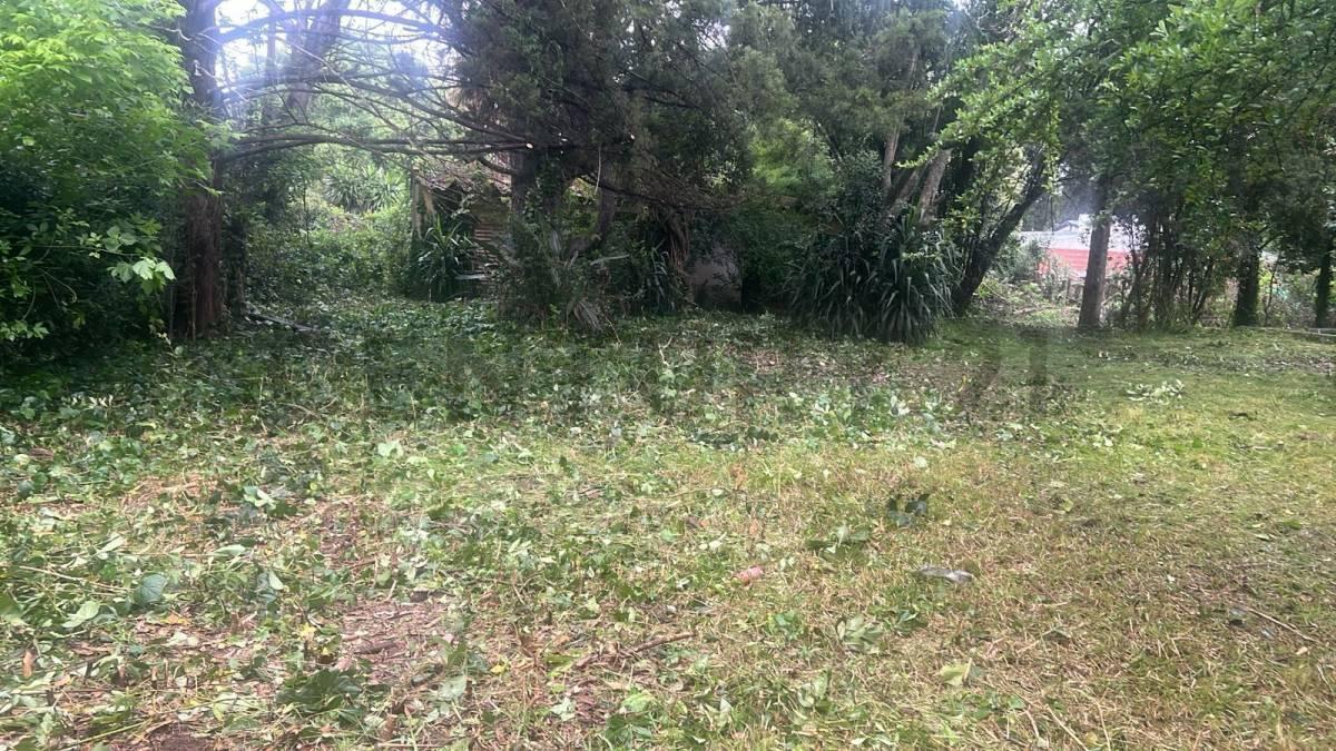 Foto de 407 y 24 | VILLA ELISA - LA PLATA - Vendemos Terreno en importante, imagen 5