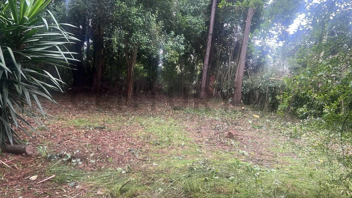 Foto de 407 y 24 | VILLA ELISA - LA PLATA - Vendemos Terreno en importante, imagen 3