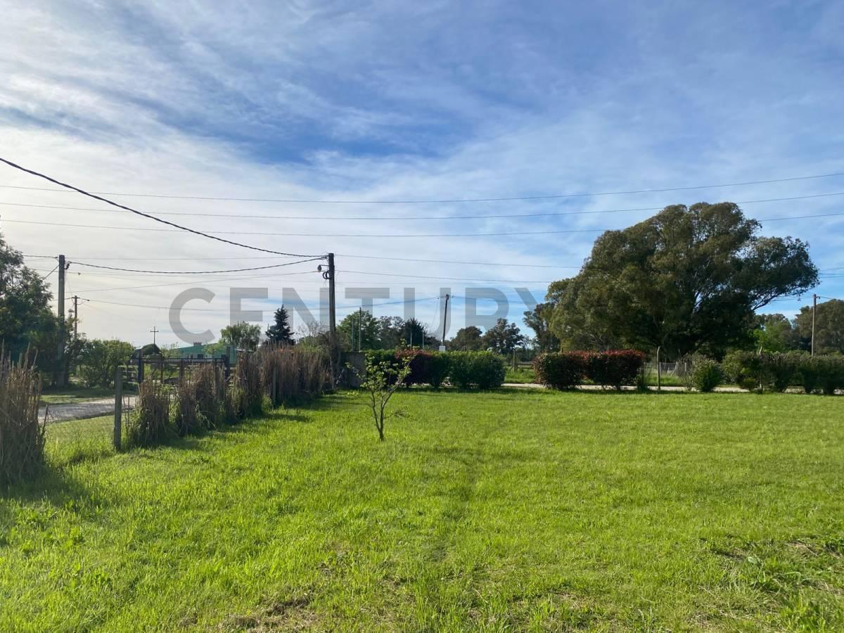 Foto de VENTA DE TERRENO – BARRIO LAS CARQUEJAS (VILLA GARIBALDI-LA PLATA), imagen 5