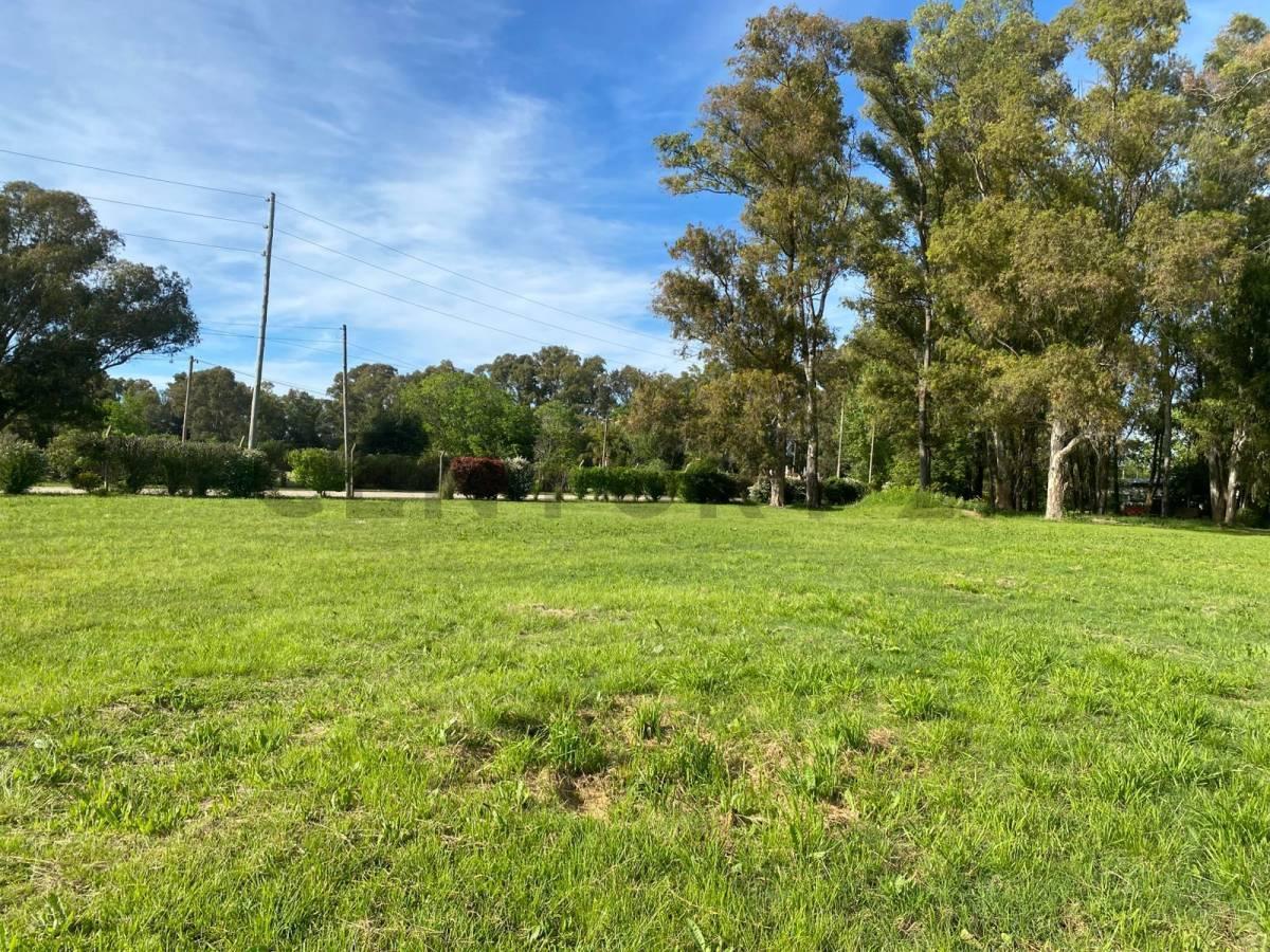 Foto de VENTA DE TERRENO – BARRIO LAS CARQUEJAS (VILLA GARIBALDI-LA PLATA), imagen 1